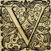 Picture 157 of 175 from Le imprese illustri del S.or Ieronimo Ruscelli. (1584), leaf 575
