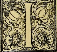 An illustration from Le imprese illustri del S.or Ieronimo Ruscelli. (1584)