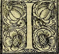 An illustration from Le imprese illustri del S.or Ieronimo Ruscelli. (1584)