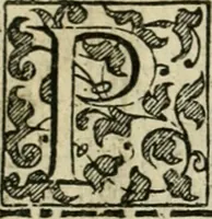 An illustration from Le imprese illvstri del s.or Ieronimo Rvscelli. Aggivntovi nvovam.te il qvarto libro da Vincenzo Rvscelli da Viterbo.. (1584)