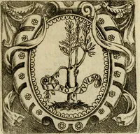An illustration from Le imprese illvstri del s.or Ieronimo Rvscelli. Aggivntovi nvovam.te il qvarto libro da Vincenzo Rvscelli da Viterbo.. (1584)