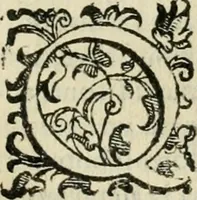 An illustration from Le imprese illvstri del s.or Ieronimo Rvscelli. Aggivntovi nvovam.te il qvarto libro da Vincenzo Rvscelli da Viterbo.. (1584)