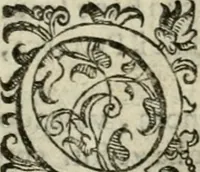 An illustration from Le imprese illvstri del s.or Ieronimo Rvscelli. Aggivntovi nvovam.te il qvarto libro da Vincenzo Rvscelli da Viterbo.. (1584)