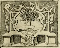 An illustration from Le imprese illvstri del s.or Ieronimo Rvscelli. Aggivntovi nvovam.te il qvarto libro da Vincenzo Rvscelli da Viterbo.. (1584)