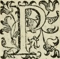 An illustration from Le imprese illvstri del s.or Ieronimo Rvscelli. Aggivntovi nvovam.te il qvarto libro da Vincenzo Rvscelli da Viterbo.. (1584)