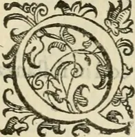 An illustration from Le imprese illvstri del s.or Ieronimo Rvscelli. Aggivntovi nvovam.te il qvarto libro da Vincenzo Rvscelli da Viterbo.. (1584)
