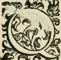 An illustration from Le imprese illvstri del s.or Ieronimo Rvscelli. Aggivntovi nvovam.te il qvarto libro da Vincenzo Rvscelli da Viterbo.. (1584)