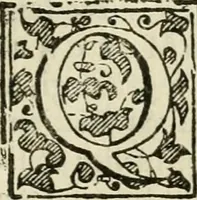An illustration from Le imprese illvstri del s.or Ieronimo Rvscelli. Aggivntovi nvovam.te il qvarto libro da Vincenzo Rvscelli da Viterbo.. (1584)