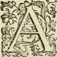 An illustration from Le imprese illvstri del s.or Ieronimo Rvscelli. Aggivntovi nvovam.te il qvarto libro da Vincenzo Rvscelli da Viterbo.. (1584)