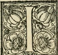 An illustration from Le imprese illvstri del s.or Ieronimo Rvscelli. Aggivntovi nvovam.te il qvarto libro da Vincenzo Rvscelli da Viterbo.. (1584)
