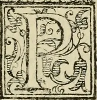 An illustration from Le imprese illvstri del s.or Ieronimo Rvscelli. Aggivntovi nvovam.te il qvarto libro da Vincenzo Rvscelli da Viterbo.. (1584)