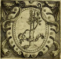 Picture 89 of 238 from Le imprese illvstri, con espositioni, et discorsi del S.or Ieronimo Rvscelli. Con la givnta di altre imprese tvtto riordinato et corretto da Fran.co Patritio (1572), leaf 240