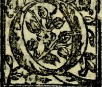 An illustration from Le imprese illvstri, con espositioni, et discorsi del S.or Ieronimo Rvscelli. Con la givnta di altre imprese tvtto riordinato et corretto da Fran.co Patritio (1572)