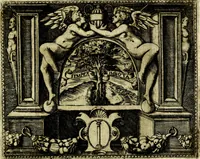 Picture 128 of 238 from Le imprese illvstri, con espositioni, et discorsi del S.or Ieronimo Rvscelli. Con la givnta di altre imprese tvtto riordinato et corretto da Fran.co Patritio (1572), leaf 344