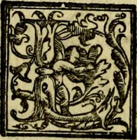 Picture 145 of 238 from Le imprese illvstri, con espositioni, et discorsi del S.or Ieronimo Rvscelli. Con la givnta di altre imprese tvtto riordinato et corretto da Fran.co Patritio (1572), leaf 389