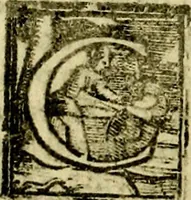 Picture 181 of 238 from Le imprese illvstri, con espositioni, et discorsi del S.or Ieronimo Rvscelli. Con la givnta di altre imprese tvtto riordinato et corretto da Fran.co Patritio (1572), leaf 493