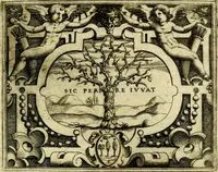 An illustration from Le imprese illvstri, con espositioni, et discorsi del S.or Ieronimo Rvscelli. Con la givnta di altre imprese tvtto riordinato et corretto da Fran.co Patritio (1572)