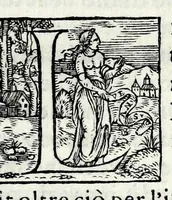 Picture 5 of 11 from Le iscrittioni poste sotto le vere imagini de gli huomini famosi : le quali à Como nel museo del Giouio si veggiono (1552), leaf 223