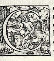 An illustration from Le iscrittioni poste sotto le vere imagini de gli huomini famosi : le quali à Como nel museo del Giouio si veggiono (1552)
