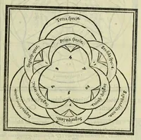 Picture 11 of 42 from Le istitutioni harmoniche : nelle quali oltra le materie appartenenti alla musica : si trouano dichiarati molti luoghi di poeti, d'historici, & di filosofi : si come leggerle si potrà chiaramente vedere (1558), leaf 55