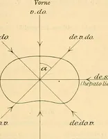 Picture 42 of 57 from Leitfaden des Röntgen-Verfahrens (1903), leaf 200