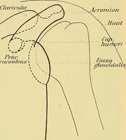 An illustration from Leitfaden des Röntgen-Verfahrens (1903)