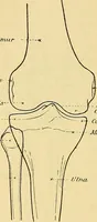 An illustration from Leitfaden des Röntgen-Verfahrens (1903)