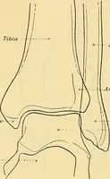 An illustration from Leitfaden des Röntgen-Verfahrens (1903)
