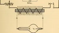 An illustration from Leitfaden des Röntgen-Verfahrens (1903)
