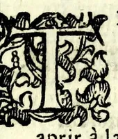Picture 7 of 9 from Lelio bandito : tragicomedia boschereccia (1620), leaf 95