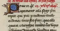 Picture 8 of 21 from Le livre des trois vertus, leaf 66
