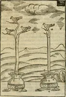 An illustration from Le machine : volume nuouo et di molto artificio da fare effetti marauigliosi tanto spiritali quanto di animale operatione arichito di bellissime figure conle dichiarationi a ciascuna di esse in lingua uolgare et latina (1629)