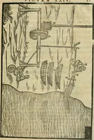 An illustration from Le machine : volume nuouo et di molto artificio da fare effetti marauigliosi tanto spiritali quanto di animale operatione arichito di bellissime figure conle dichiarationi a ciascuna di esse in lingua uolgare et latina (1629)
