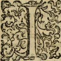 An illustration from Le machine : volume nuouo et di molto artificio da fare effetti marauigliosi tanto spiritali quanto di animale operatione arichito di bellissime figure conle dichiarationi a ciascuna di esse in lingua uolgare et latina (1629)