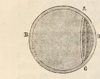 Picture 3 of 18 from Le magicien des salons, ou, Le diable couleur de rose : recueil nouveau de tours d'escamotage, de physique amusante, de chimie récréative, de tours de cartes, magie blanche, etc., etc. (1873), leaf 120