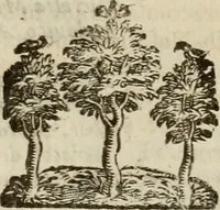 An illustration from Le marauiglie dell'arte, ouero, Le vite de gl'illustri pittori veneti, e dello stato : oue sono raccolte le opere insigni, i costumi, & i ritratti loro : con la narratione delle historie, delle fauole, e delle moralità da quelli dipinte (1648)