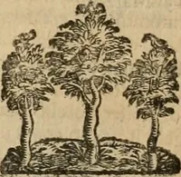 An illustration from Le marauiglie dell'arte, ouero, Le vite de gl'illustri pittori veneti, e dello stato : oue sono raccolte le opere insigni, i costumi, & i ritratti loro : con la narratione delle historie, delle fauole, e delle moralità da quelli dipinte (1648)