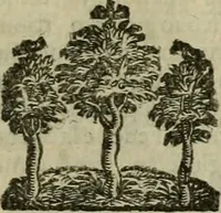 An illustration from Le marauiglie dell'arte, ouero, Le vite de gl'illustri pittori veneti, e dello stato : oue sono raccolte le opere insigni, i costumi, & i ritratti loro : con la narratione delle historie, delle fauole, e delle moralità da quelli dipinte (1648)