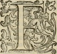 An illustration from Le marauiglie dell'arte, ouero, Le vite de gl'illustri pittori veneti, e dello stato : oue sono raccolte le opere insigni, i costumi, & i ritratti loro : con la narratione delle historie, delle fauole, e delle moralità da quelli dipinte (1648)