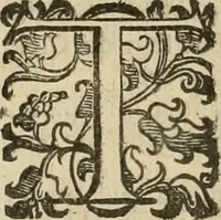 An illustration from Le marauiglie dell'arte, ouero, Le vite de gl'illustri pittori veneti, e dello stato : oue sono raccolte le opere insigni, i costumi, & i ritratti loro : con la narratione delle historie, delle fauole, e delle moralità da quelli dipinte (1648)