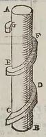 An illustration from Le mechaniche (1581)