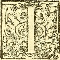 An illustration from Le medicine partenenti alle infermità delle donne (1574)