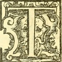An illustration from Le medicine partenenti alle infermità delle donne (1574)