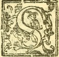 An illustration from Le medicine partenenti alle infermità delle donne (1574)