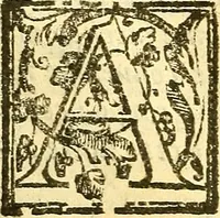 Picture 19 of 63 from Le medicine partenenti alle infermità delle donne (1574), leaf 131