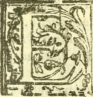 An illustration from Le medicine partenenti alle infermità delle donne (1574)