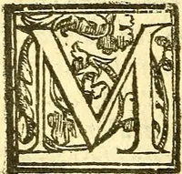 An illustration from Le medicine partenenti alle infermità delle donne (1574)