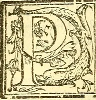 An illustration from Le medicine partenenti alle infermità delle donne (1574)