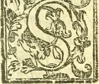 An illustration from Le medicine partenenti alle infermità delle donne (1574)