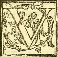 An illustration from Le medicine partenenti alle infermità delle donne (1574)
